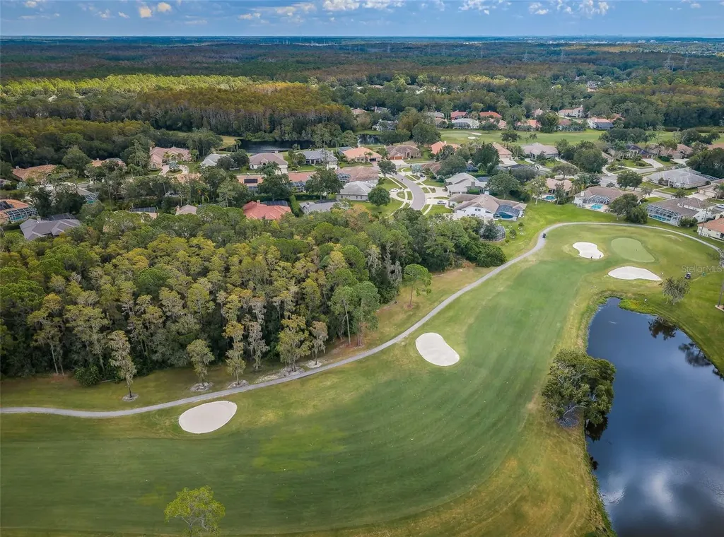 205 Woods Landing Trail Oldsmar FL 34677