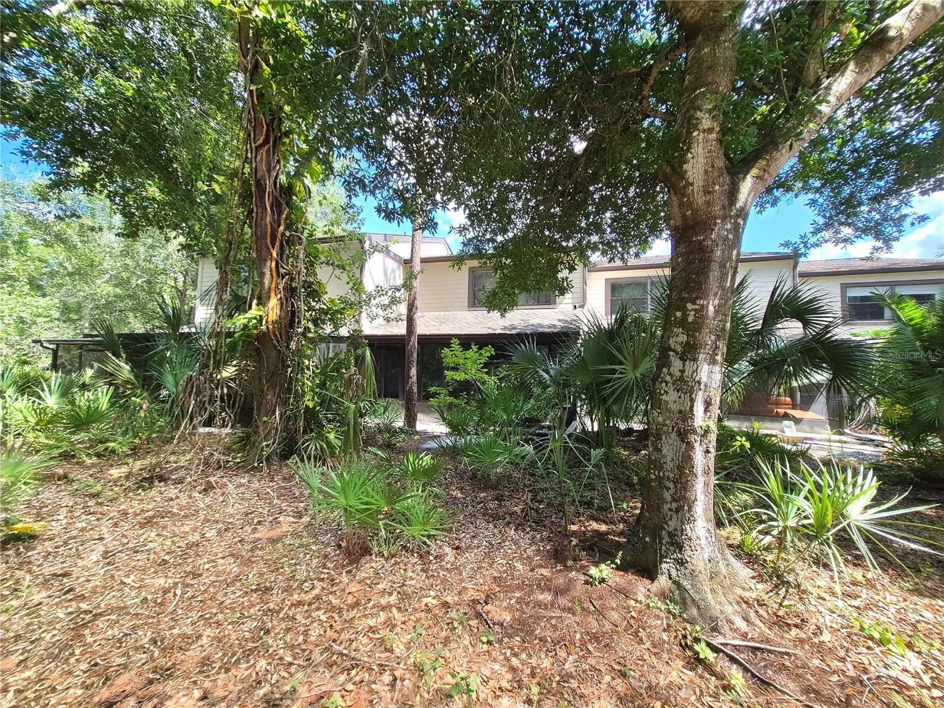 205 Woods Landing Trail Oldsmar FL 34677