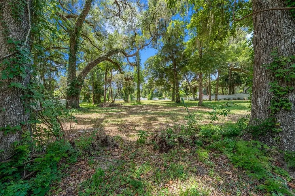 4886 E Highway 316 Citra FL 32113