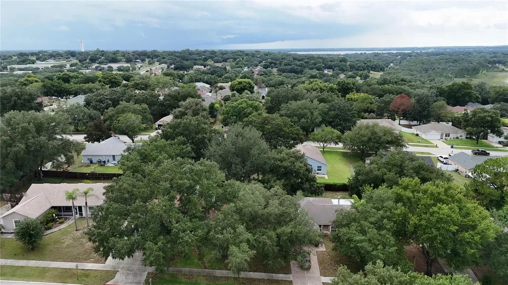 919 Arbor Hill Circle Minneola FL 34715