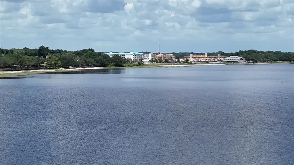 919 Arbor Hill Circle Minneola FL 34715