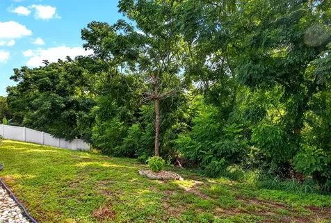 919 Arbor Hill Circle Minneola FL 34715