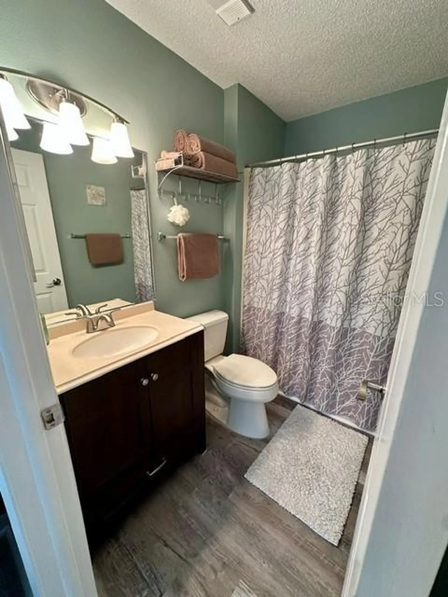 4833 Myrtle Oak Drive New Port Richey FL 34653