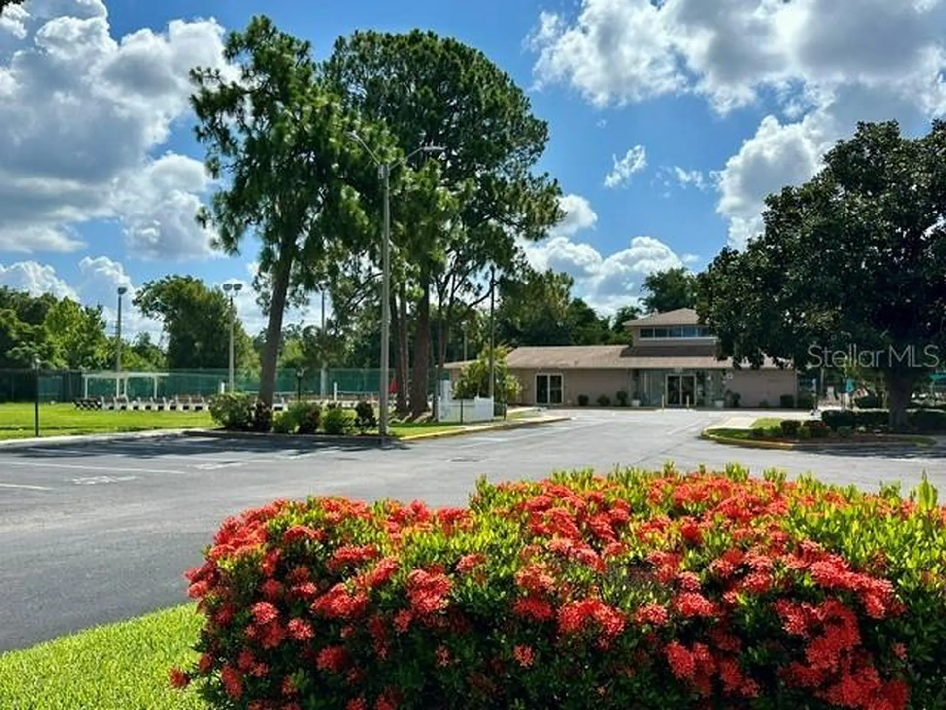 4833 Myrtle Oak Drive New Port Richey FL 34653