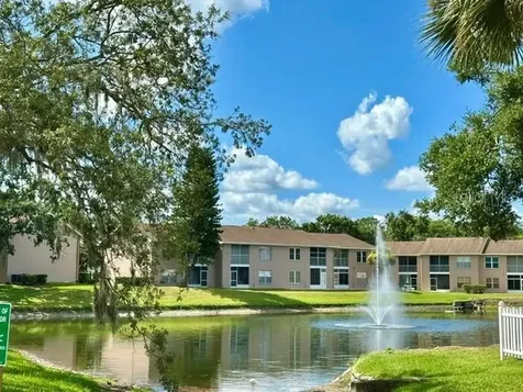 4833 Myrtle Oak Drive New Port Richey FL 34653