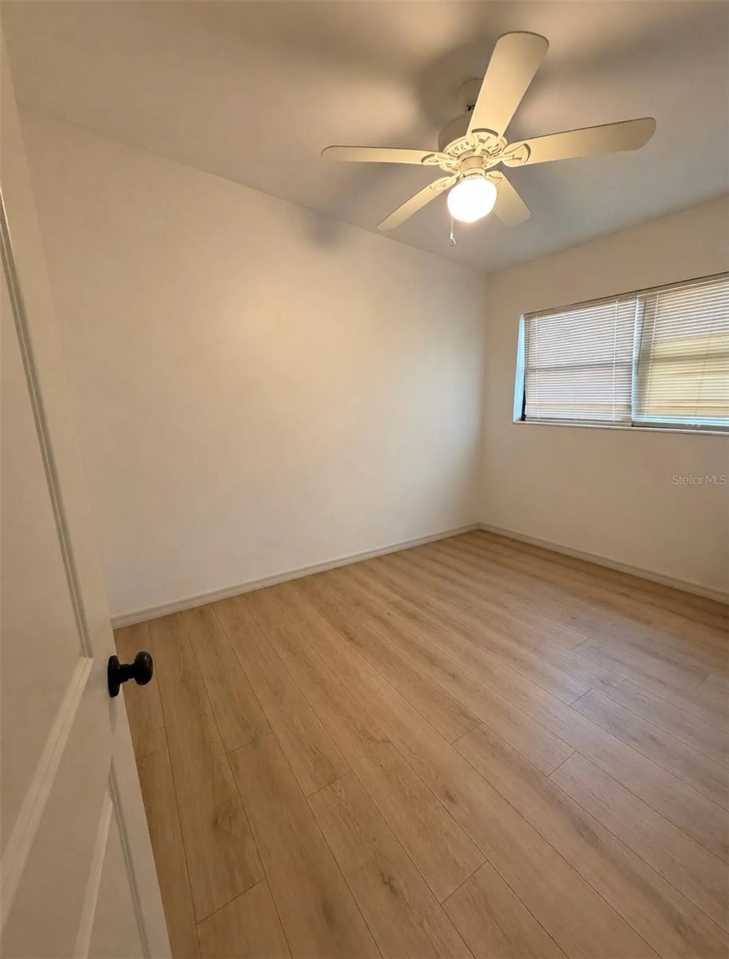 10111 N Ola Avenue Tampa FL 33612