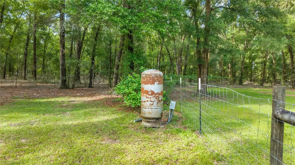 6679 NW 27th Place Bell FL 32619