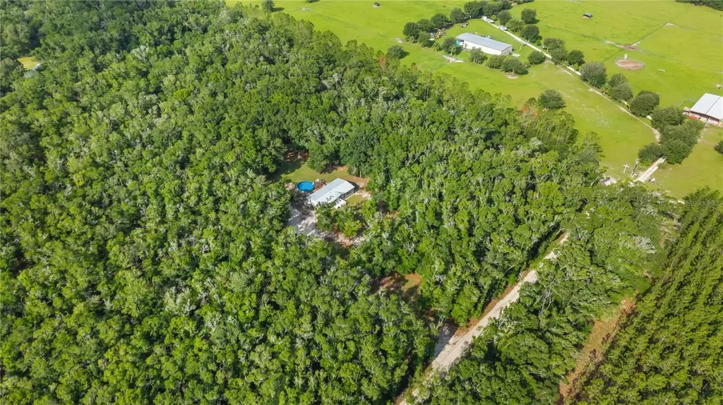 6679 NW 27th Place Bell FL 32619