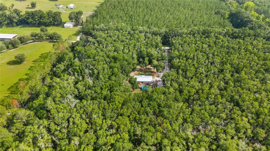 6679 NW 27th Place Bell FL 32619