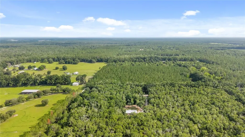6679 NW 27th Place Bell FL 32619