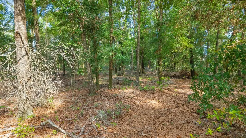6679 NW 27th Place Bell FL 32619