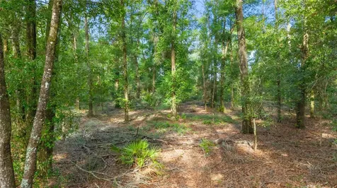 6679 NW 27th Place Bell FL 32619