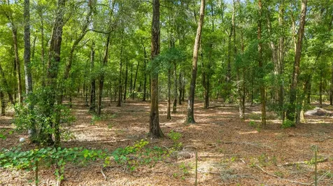6679 NW 27th Place Bell FL 32619