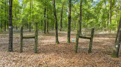 6679 NW 27th Place Bell FL 32619