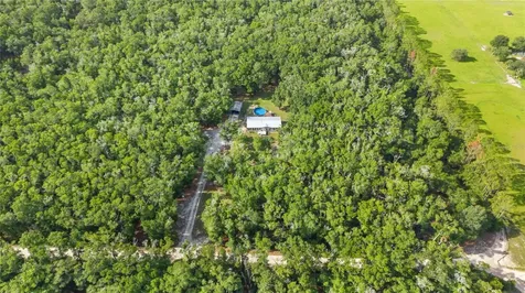 6679 NW 27th Place Bell FL 32619