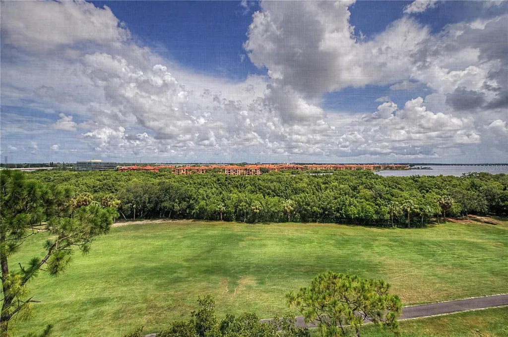 3300 Cove Cay Drive Clearwater FL 33760