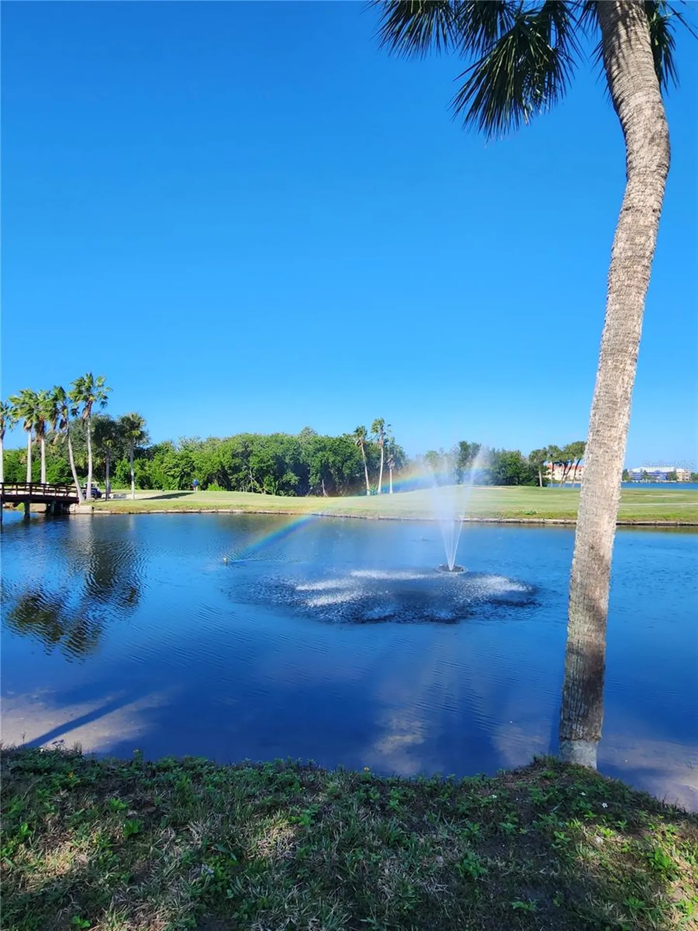 3300 Cove Cay Drive Clearwater FL 33760