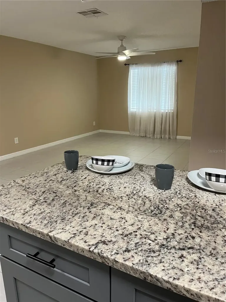 211 Thorn Tree Place Brandon FL 33510