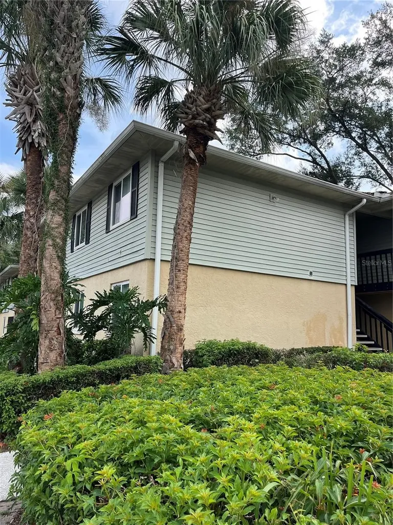 211 Thorn Tree Place Brandon FL 33510