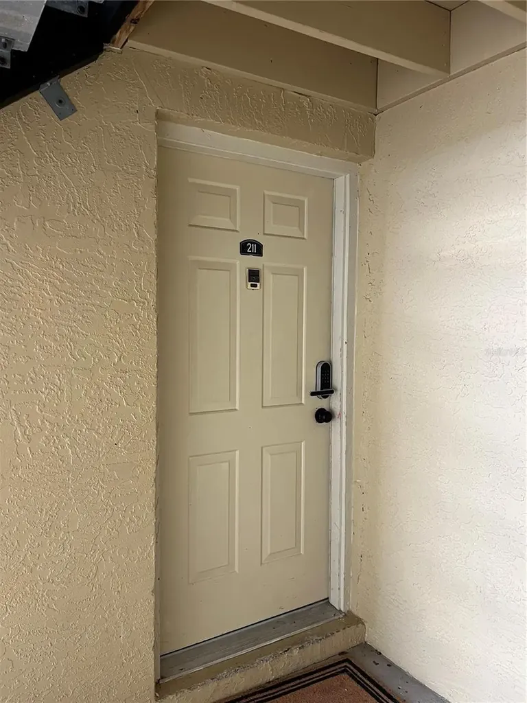 211 Thorn Tree Place Brandon FL 33510