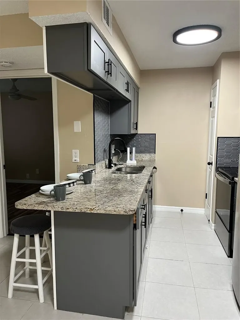 211 Thorn Tree Place Brandon FL 33510