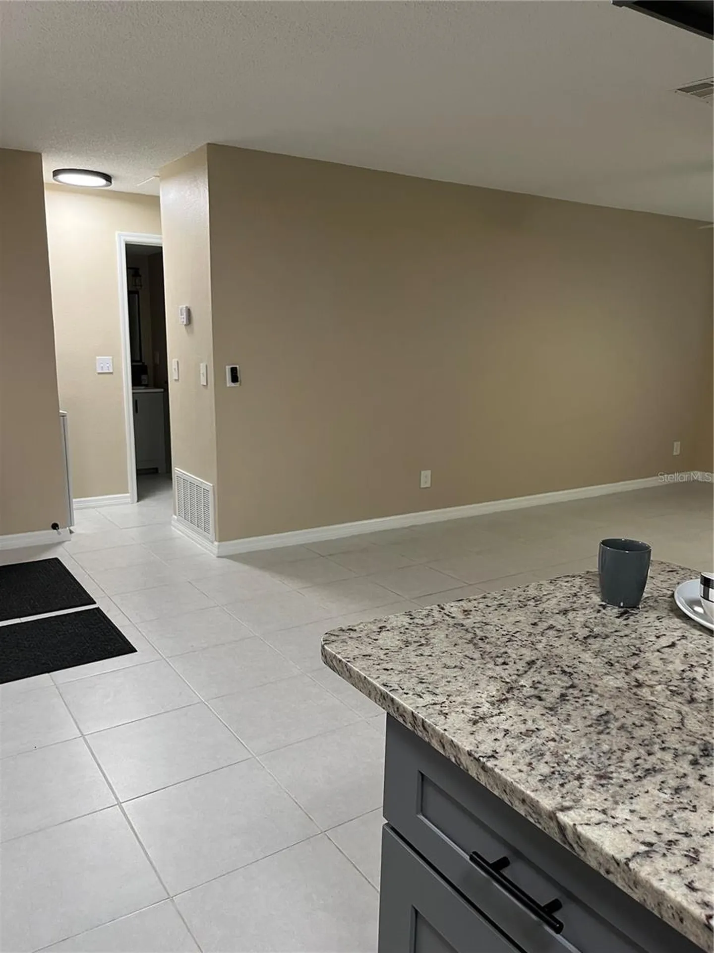 211 Thorn Tree Place Brandon FL 33510