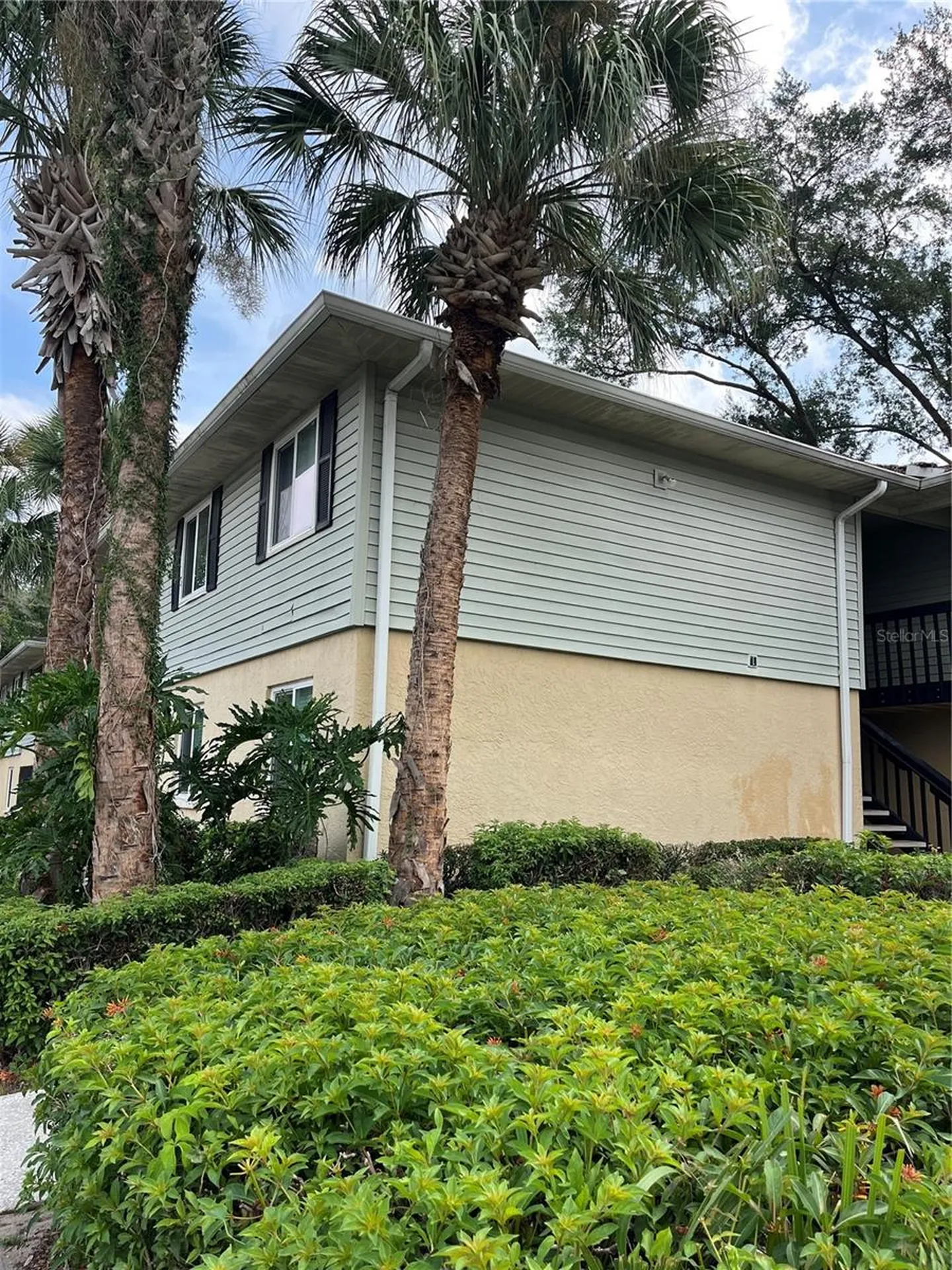 211 Thorn Tree Place Brandon FL 33510