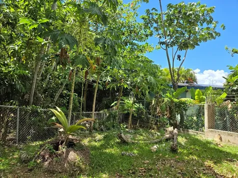 37 Calle Coral Vieques PR 00765