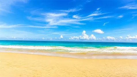 4745 Ave Isla Verde Carolina PR 00979