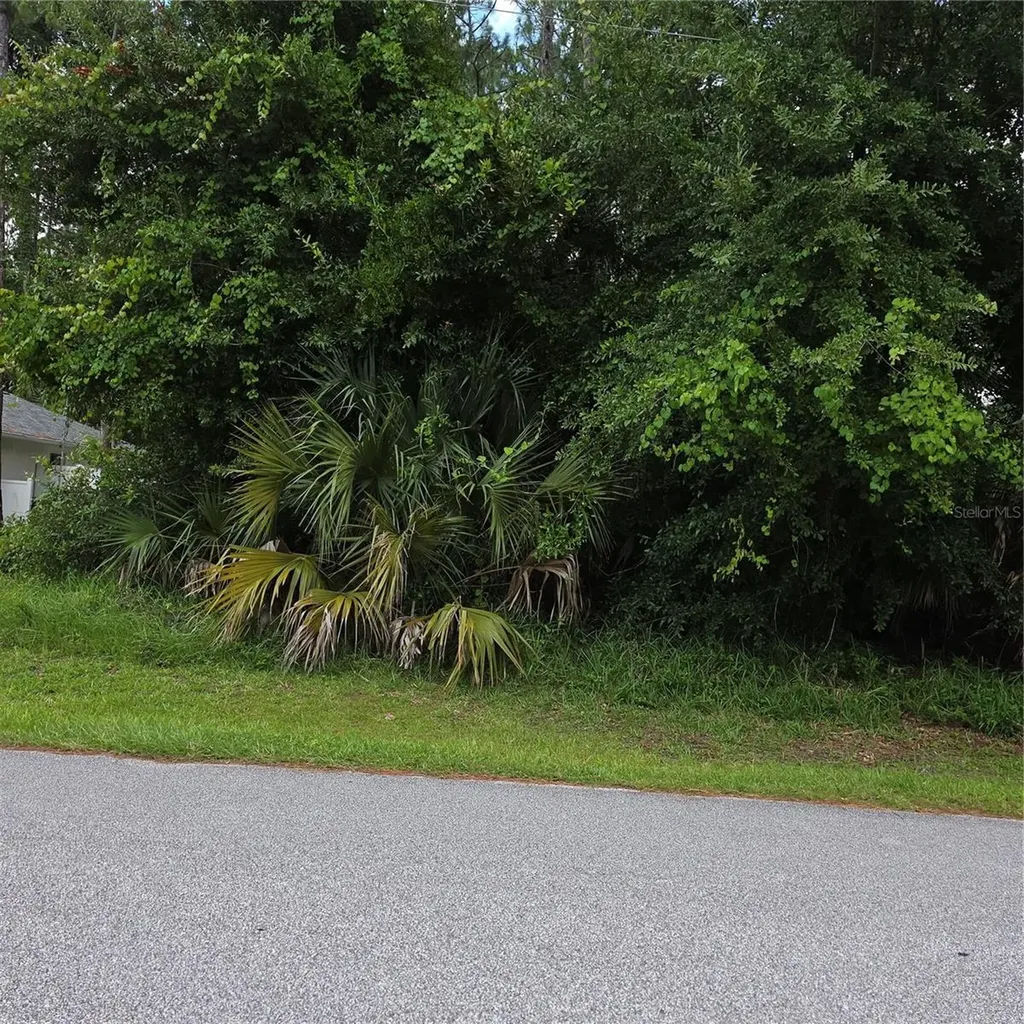 19 Wasserman Drive Palm Coast FL 32164