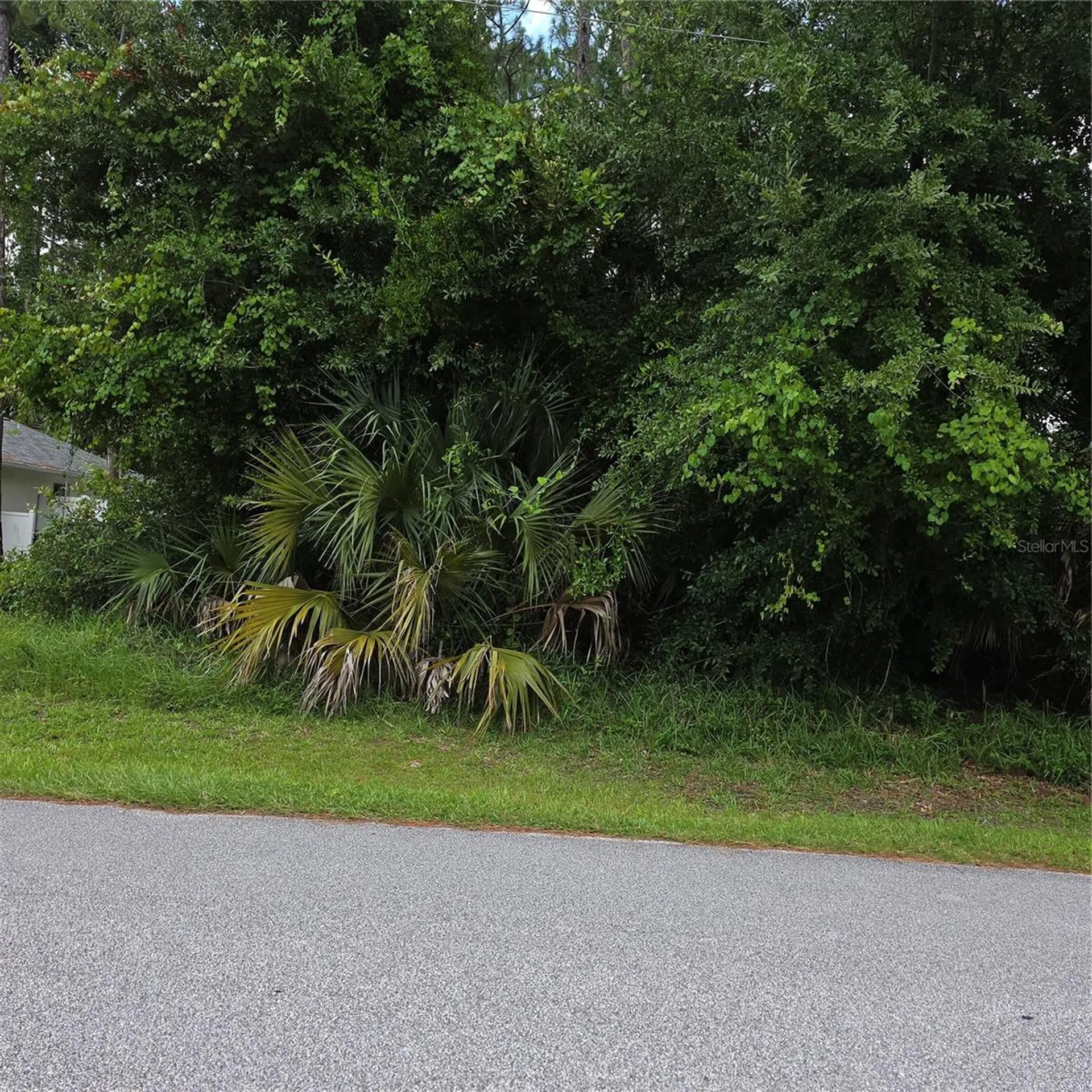 19 Wasserman Drive Palm Coast FL 32164