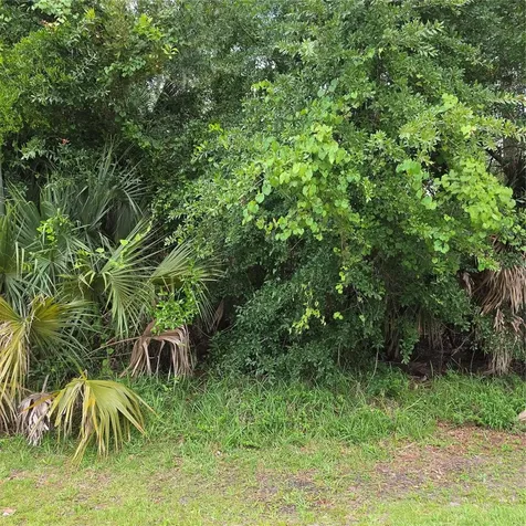 19 Wasserman Drive Palm Coast FL 32164