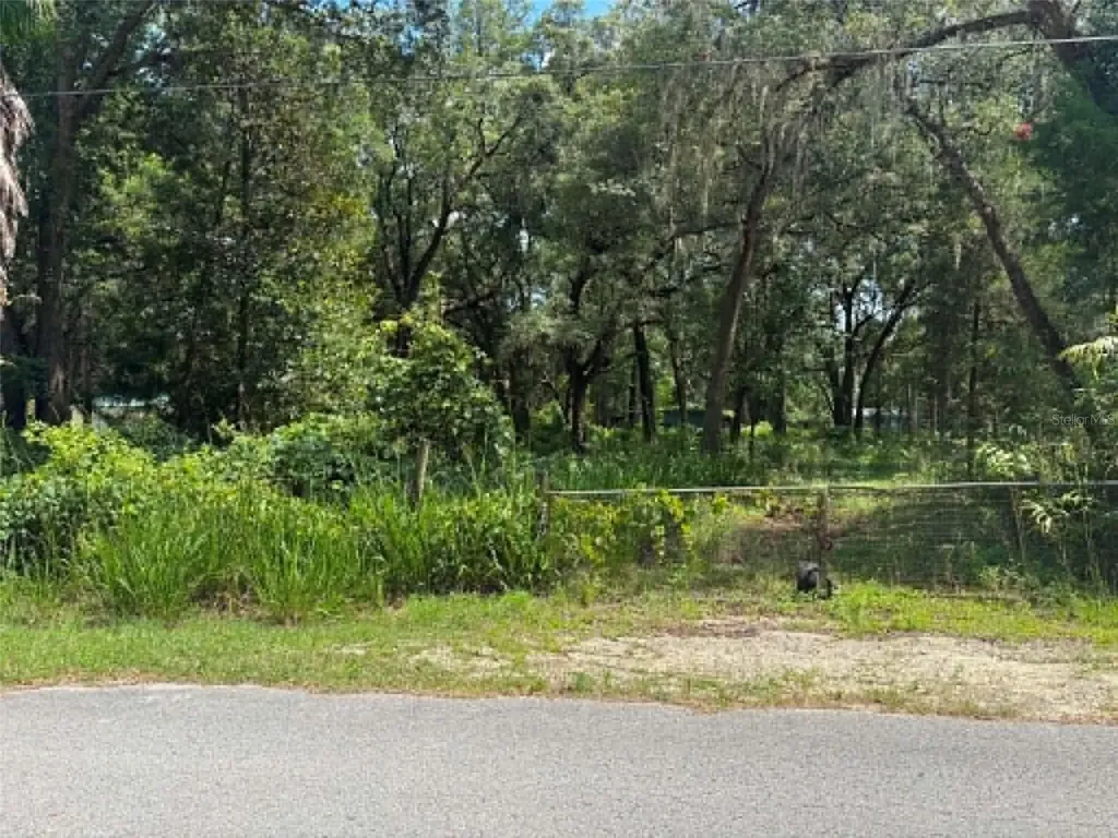 00 NW 166th Street Trenton FL 32693