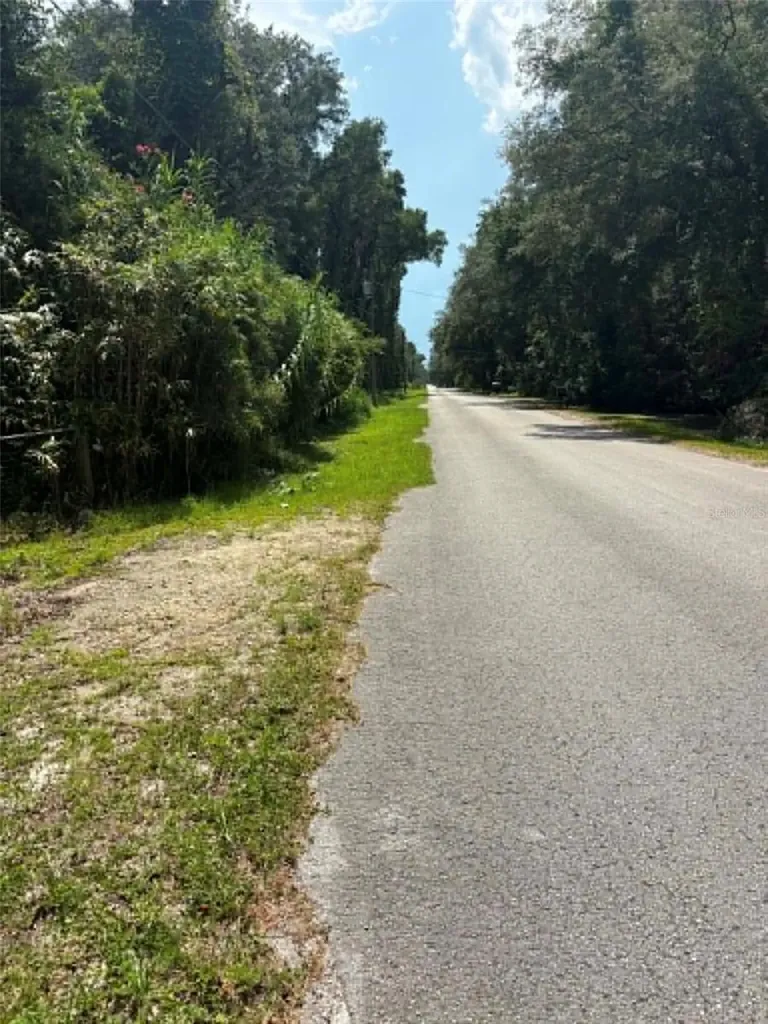 00 NW 166th Street Trenton FL 32693