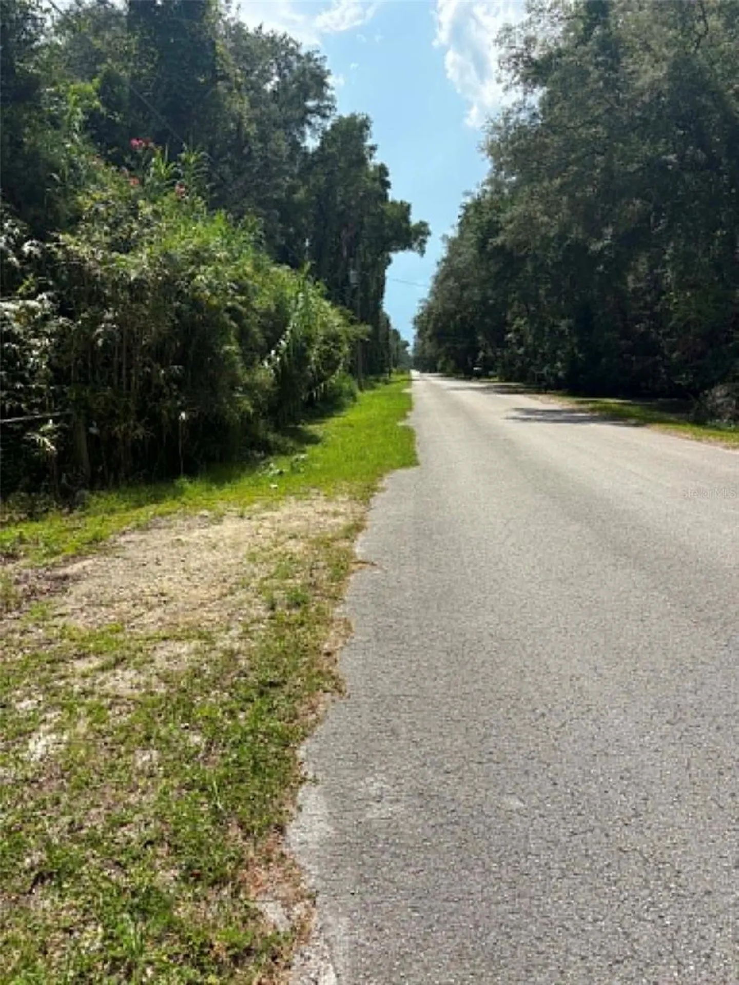 00 NW 166th Street Trenton FL 32693