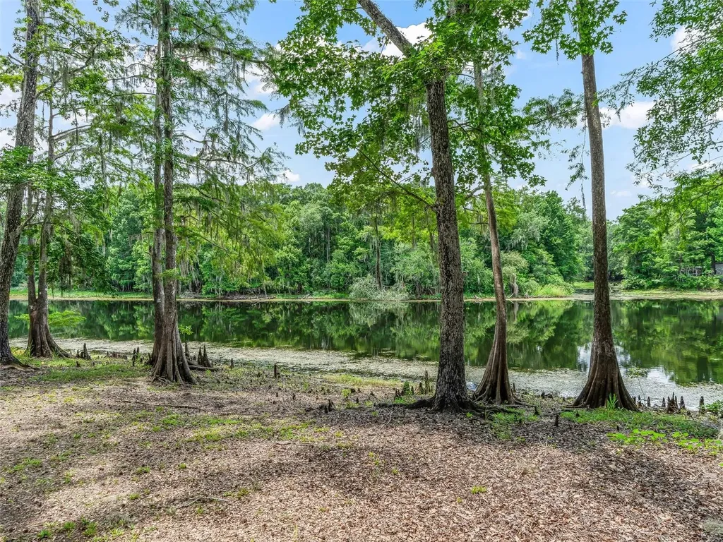 10518 SW 64th Avenue Bushnell FL 33513