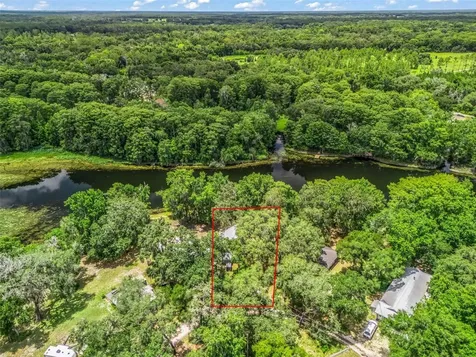 10518 SW 64th Avenue Bushnell FL 33513
