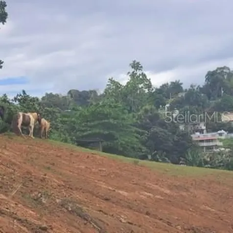 842 Caimito San Juan PR 00926
