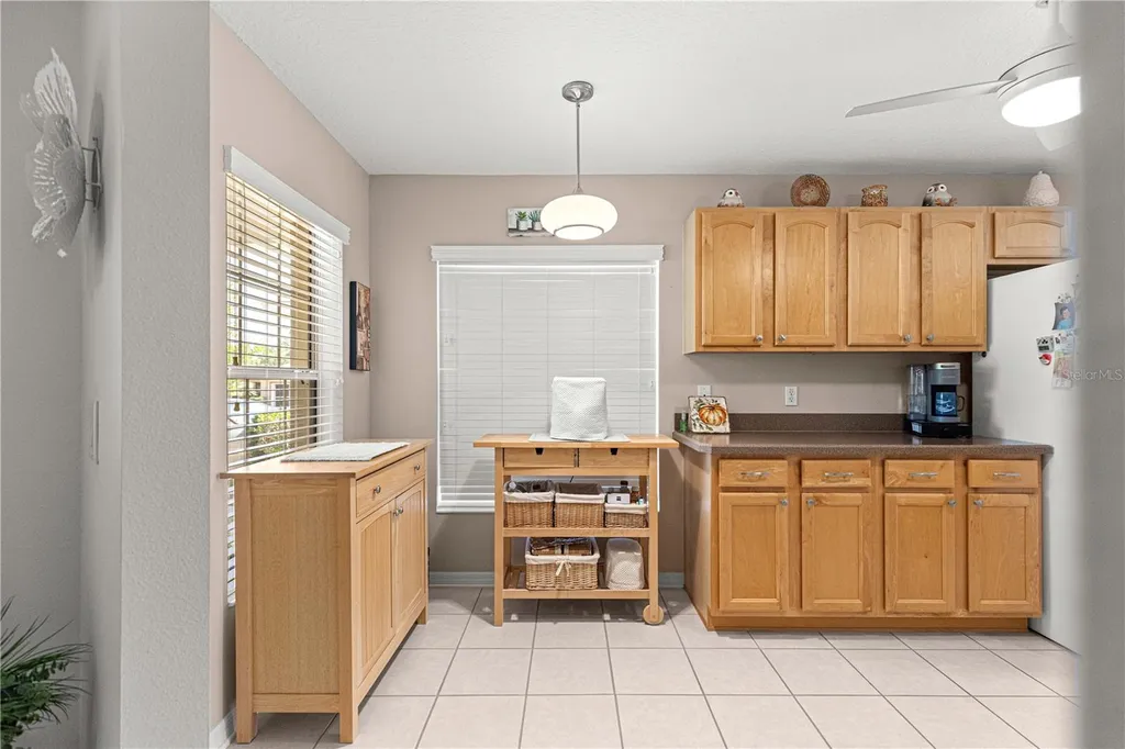 10096 SW 92nd Street Road Ocala FL 34481