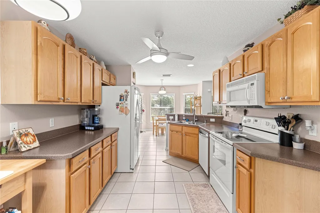 10096 SW 92nd Street Road Ocala FL 34481