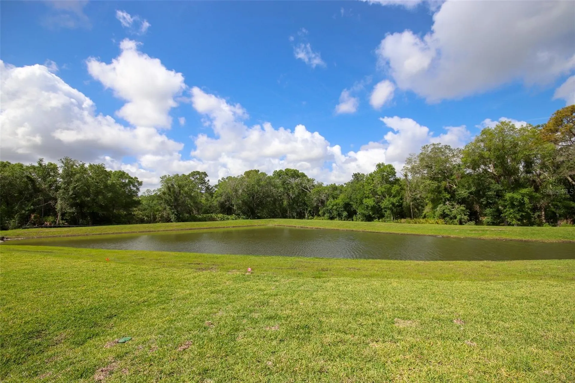 10347 Alder Green Drive Riverview FL 33578