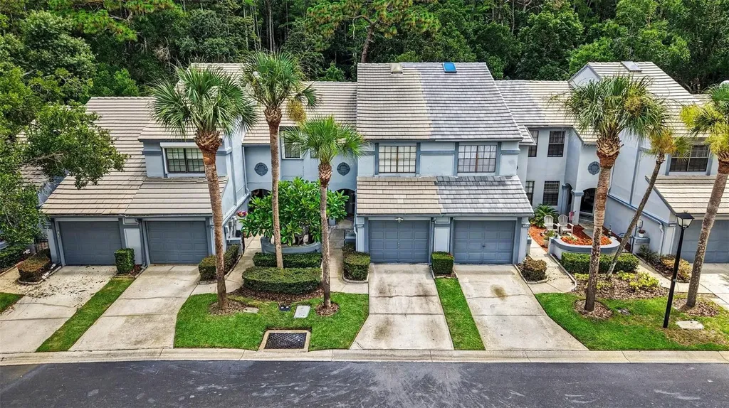 4107 Brentwood Park Circle Tampa FL 33624