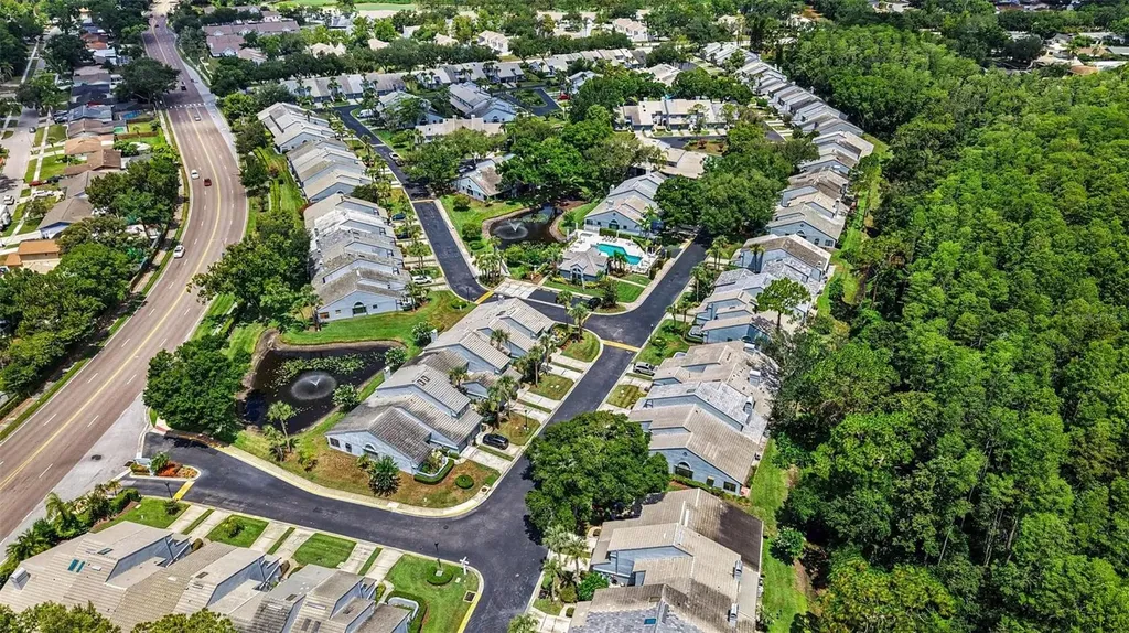 4107 Brentwood Park Circle Tampa FL 33624