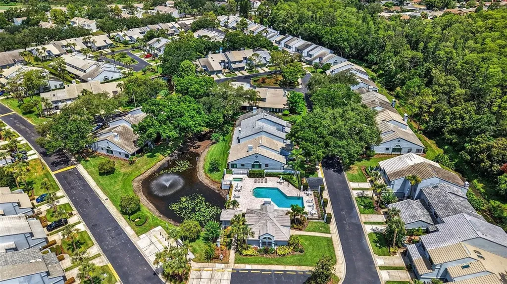 4107 Brentwood Park Circle Tampa FL 33624