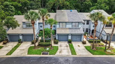 4107 Brentwood Park Circle Tampa FL 33624