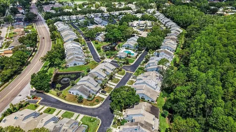 4107 Brentwood Park Circle Tampa FL 33624