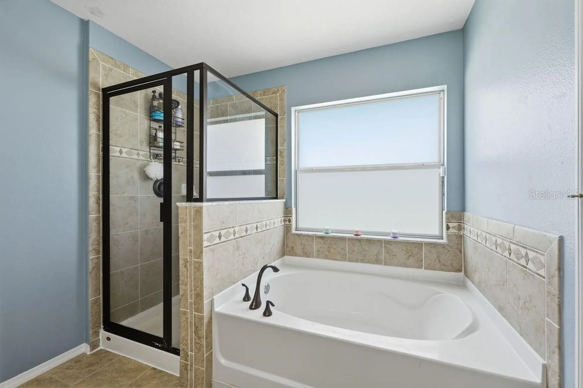 11018 Running Pine Drive Riverview FL 33569