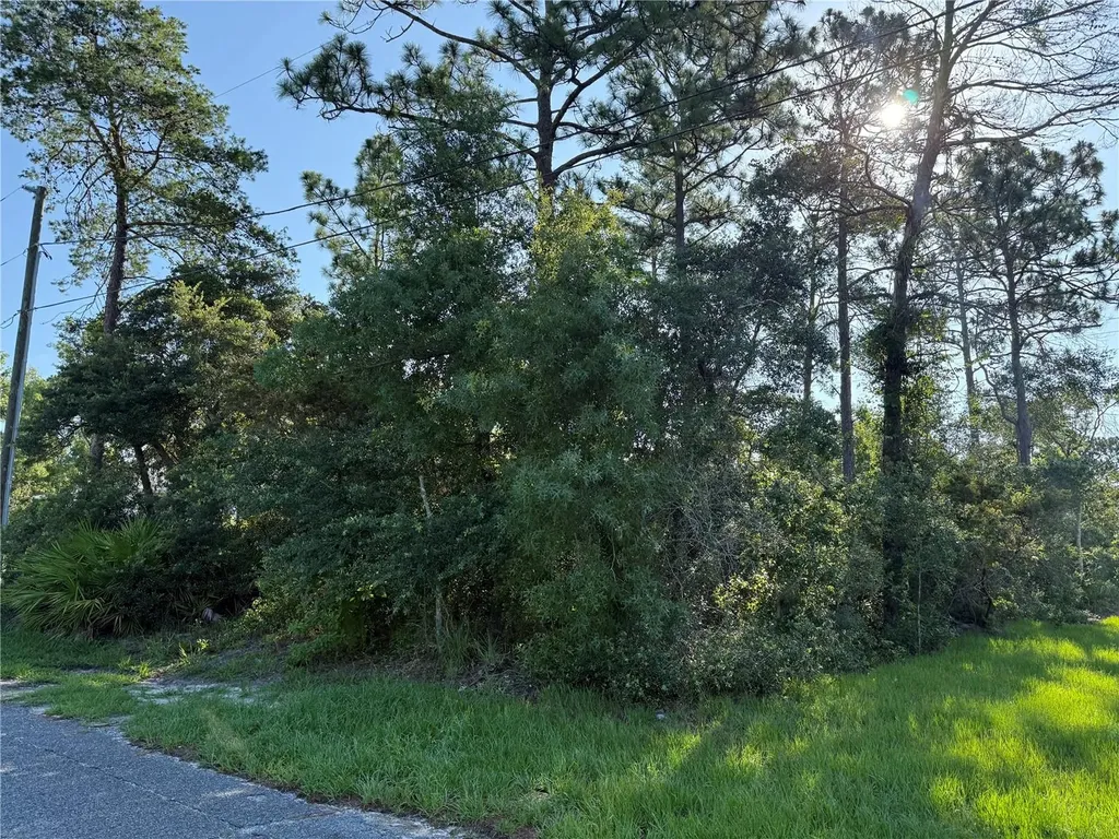 Hickory Avenue Orange City FL 32763