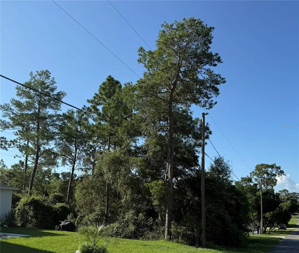 Hickory Avenue Orange City FL 32763