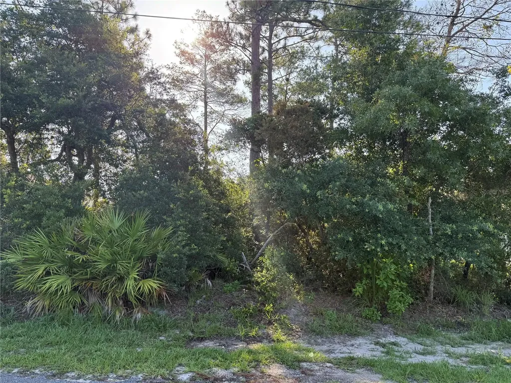 Hickory Avenue Orange City FL 32763